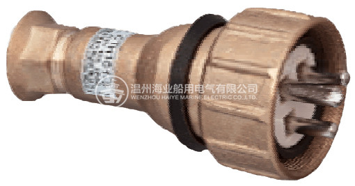 CTH101 Marine Brass Plug