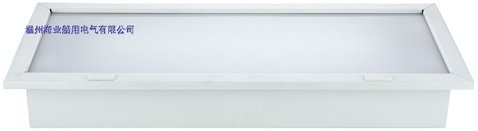 Fluorescent Ceiling Light