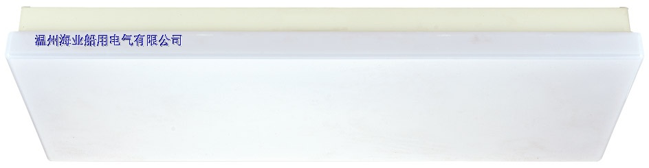 JPY20-2 Fluorescent Ceiling Light