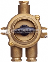 HH302 MARINE BRASS SWITCH