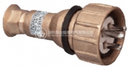 CTH101 Marine Brass Plug