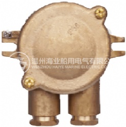 JXH202 Marine Brass Junction Box