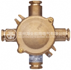 JXH401 船用铜质带开关插座