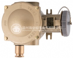 CZS3-2 Marine Brass Hight Current Water Tight Socket