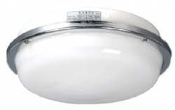 CPD2-1 Ceiling Light