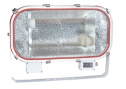 TG19 Flood Light